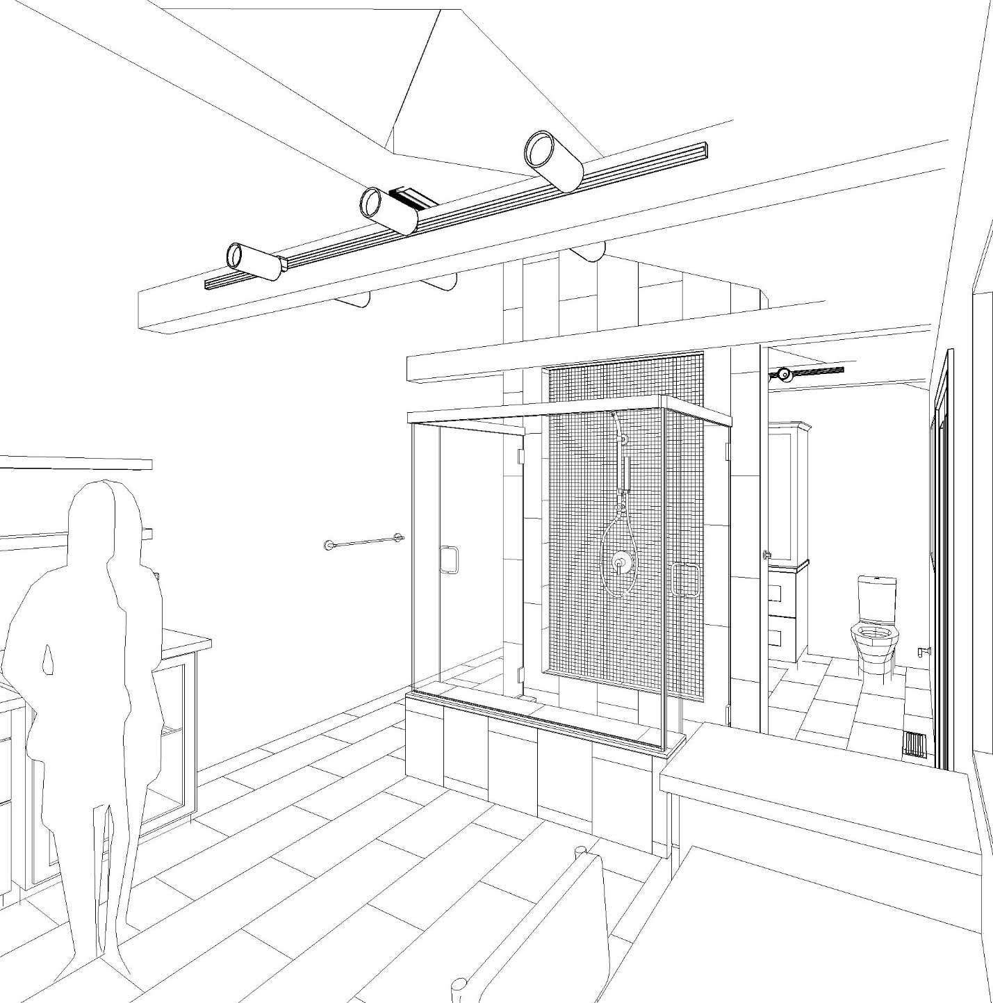 rendering of bathroom designed by Silent Rivers of Des Moines has vaulted ceiling, skylights, and 3-sided shower