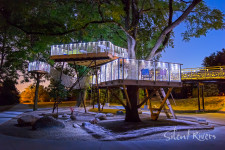 Landscaping: Collaborating with a Landscaper