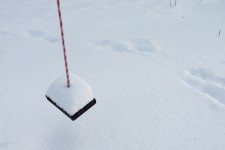 Within Winter’s Calm, Honor the Tribe