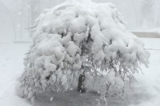 Feel at Home with Each Season: Home Design Inspiration