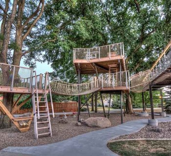 Grown-Up Play Structure & Treehouse for Kids & Adults